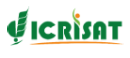 ICRISAT